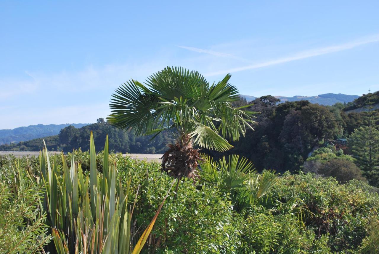 Beach Front:Palms-On-The-Beach.Kaiteriteri. Eksteriør billede